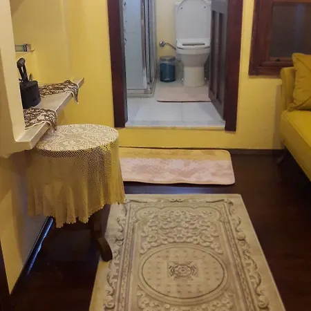 Guest house Papazin Konagi